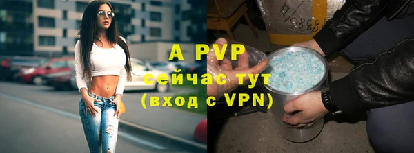 a pvp Бородино
