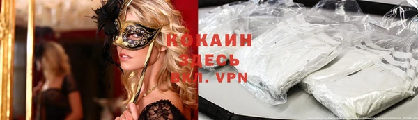 a pvp Бородино