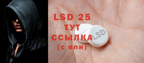 a pvp Бородино