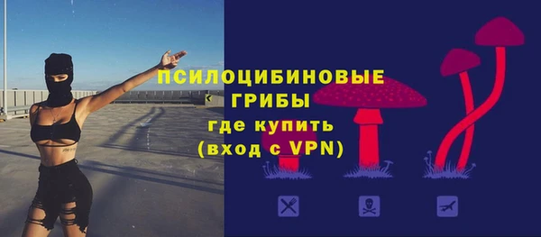a pvp Бородино