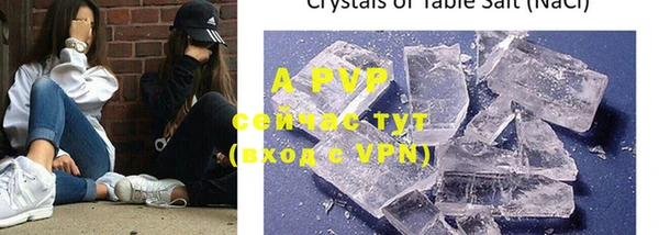 a pvp Бородино