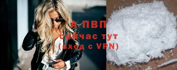 a pvp Бородино