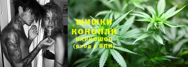 PSILOCYBIN Бронницы