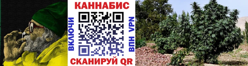 нарко площадка официальный сайт Яранск Шишки марихуана планчик